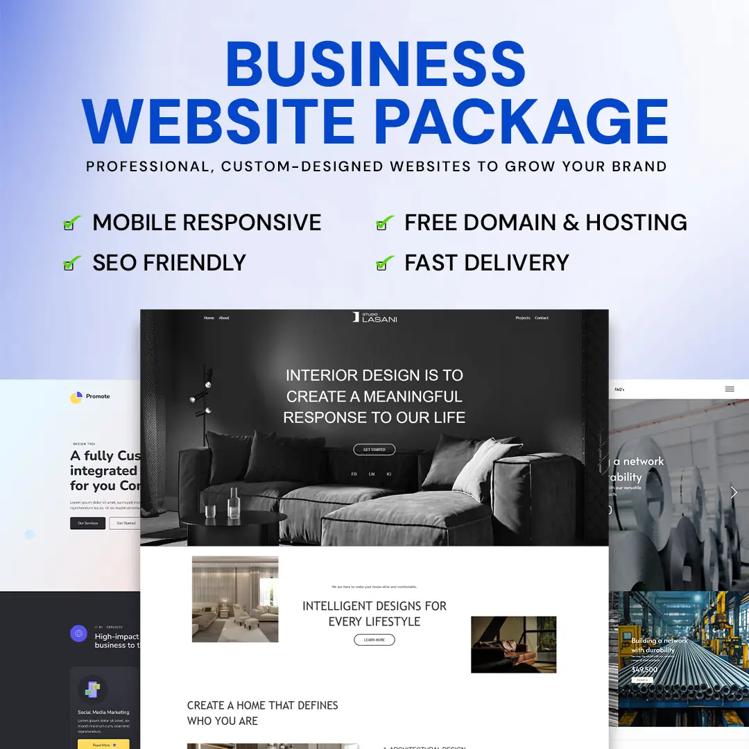 business-website-design-delhi-package